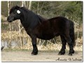 14hpten_rosenhagas_quebec.jpg