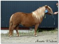 15mull_honsetorps_catania.jpg