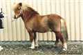 magics_fritz_viveka_karlestrand5 001.jpg