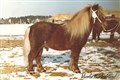 nalle_puh_viveka_karlestrand.jpg