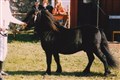onyx_v_st_geerhof_em_bengtsson.jpg