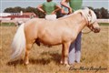 rob_roy_em_bengtsson.jpg