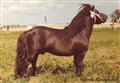 ulex_v_d_mariapeel_viveka_kasrlestrand4, Kalmar 1975 001.jpg