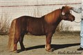 wanga_fridolin_viveka_karlestrand.jpg