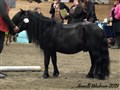 19hphall_dorus_v_d_belschuur.jpg