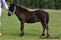 24back_busebo_greven.jpg