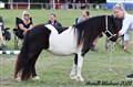 25vet_sweet_girl_v_t_hoendiep.jpg