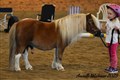 25sat_adelssons_cowboy.jpg