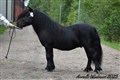 25hpgr_black_knight_af_blankeberg.jpg