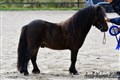 26ljung_rotenas_lill_anders.jpg