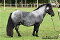 26hpvet2_argon.jpg