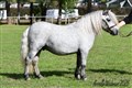 26hpvet2_lundstorps_chrome .jpg